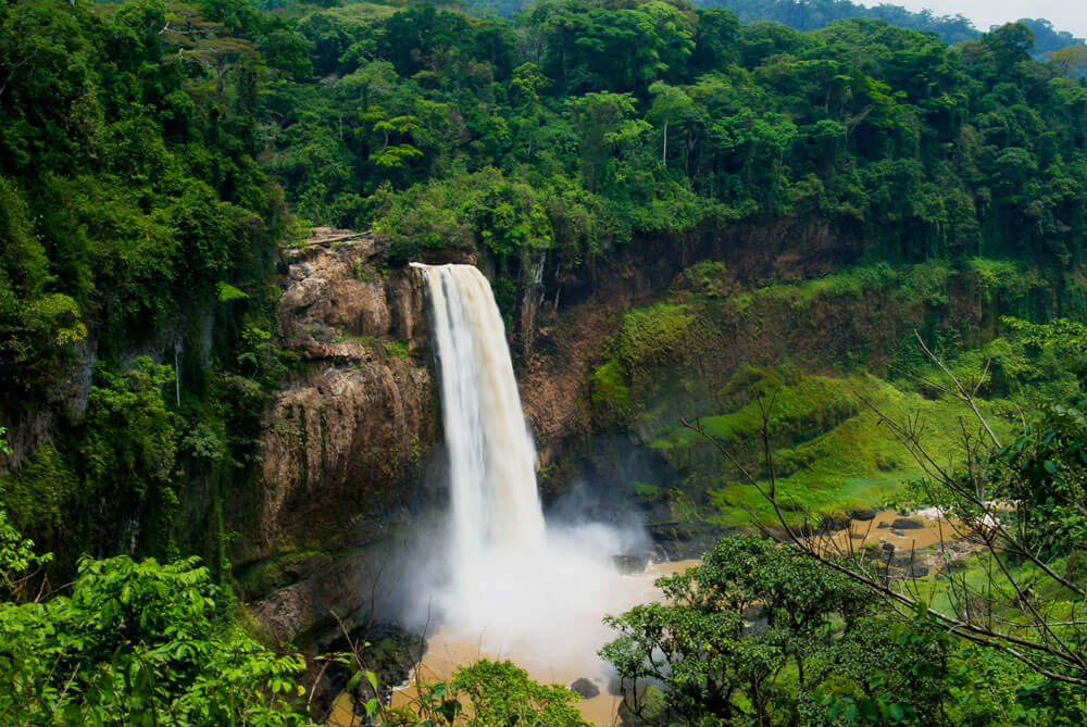 Scenic view of Cameroon Waterfall and Jungle | African Ancestry
