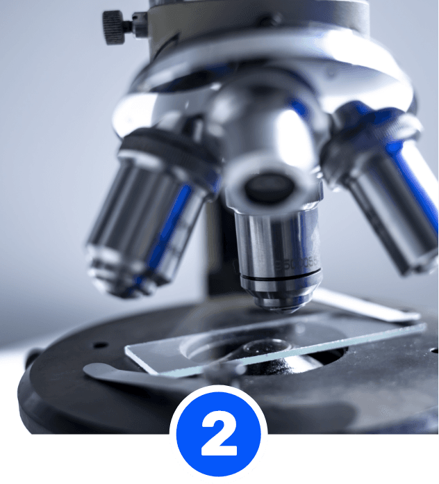 Test results example