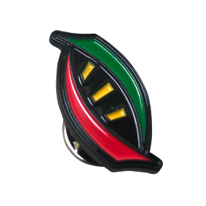 African DNA Pin